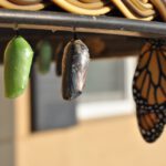 unsplash.com/ Suzanne D. Williams